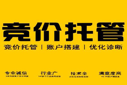 SEM优化师实战：从数据驱动优化广告投放